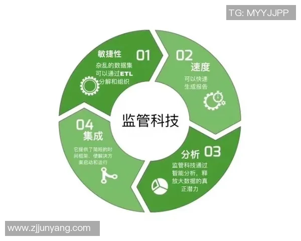 提升监管科技自动化合规报告效率的创新解决方案与实践探索